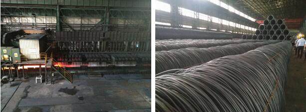 盛煌娱乐(中国游)·官方网站